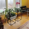22" Tall Large Iron Arne Plant Stand with Galvanized Tray, No Assembly - ACHLA Designs - 2 of 4