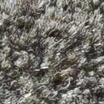 ash, warm gray, sage, gray, light silver