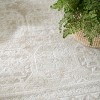 Nourison Dekor Vintage Indoor Area Rug - 3 of 4