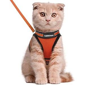 rabbitgoo Cat Harness and Leash Set for Walking Escape Proof, Adjustable Soft Kittens Vest  Vest, Orange, L - 1 of 1