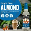 Syruvia Sugar Free Almond Syrup for Coffee 25.4 fl oz Premium Coffee Flavoring Syrup - 2 of 4