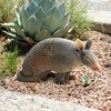 Design Toscano Tank, The Armadillo Garden Statue - 2 of 3