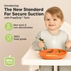 3-Pack Prep Suction Plates for Baby, 100% Silicone Toddler Plates, BPA-Free Divided Baby Plates with Suction - 2 of 4