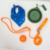 Waterproof Handsfree PVC Dog Leash — All-Weather, Odor-Resistant, Durable & Easy-Clean  — Tilley + Me - 4 of 4