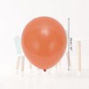 Unique Bargains Latex Helium Balloons 10-inch Round for Wedding Anniversary Graduation Birthday Party Backdrop Decorations 20 Pcs - 2 of 4