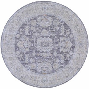 Hauteloom Karuah Hallway, Kitchen Runner Rug - Traditional - 1 of 4