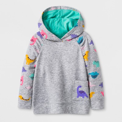 Cat and jack dinosaur hoodie sale