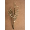 Artificial Dead Wood Branch – 31" Tall Faux Decorative Accent by Kalalou - 3 of 3