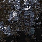 gray brown