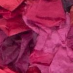 fuchsia/multi