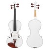 AZL1 Life Concept Orchestral String Instruments 4/4 Professional Violin Outfit with Complete Accessory Collection, White, 31.5"*9.84"*4.92" - 4 of 4