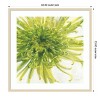 Amanti Art Contemporary Chrysanthemum by Danhui Nai Wood Framed Wall Art Print - 4 of 4