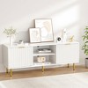 Snynuxx Modern TV Stand for 55/60/65 inch TV with Storage for Living Room - 3 of 4