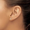 Black Bow Jewelry 4mm Round Cubic Zirconia Stud Earrings in 14k White Gold - 3 of 4