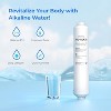 Waterdrop Water Filter WD-ALK35, Alkaline Filter for Reverse Osmosis System, pH Balance and Restore Minerals for RO Alkaline - 2 of 4
