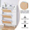 Vynxaria Modern Minimalist Storage Cabinet: Japanese Rattan Shoe Cabinet and Bedtop Storage, Perfect for Corridors and Living Rooms. - 2 of 4