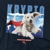 Toddler Boy's Superman 2025 Krypto in the Sky Y T-Shirt - 2 of 3