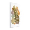 Stupell Industries Abstract Fern & Pebbles, 10" x 15" - 3 of 4