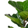 Gulches 59 Inch Artificial Fiddle Leaf Fig Plants, Pre Potted and Boasting Lush Green Foliage, Perfect for Indoor Spaces - 3 of 4
