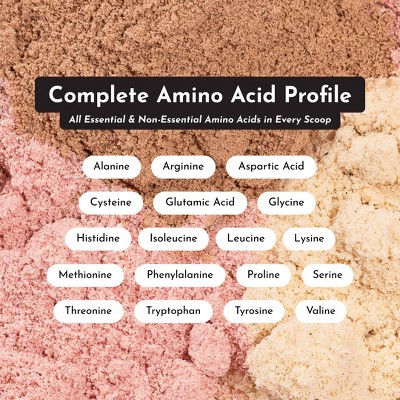 Just Ingredients Protein Powder Stick Variety Pack - 4 Flavors - 12.77oz/10ct