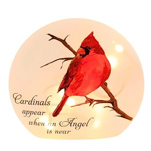 Stony Creek 6.25 In Angel Cardinals Pre-Lit Small Orb Bereavement Lighted Glass Accent , Bereavement Bereavement Bird Electric Plug-In (1PC) - 1 of 4