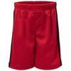 Jurassic Park Athletic Graphic T-Shirt Mesh Shorts Outfit Set Logo Black / Red - 4 of 4