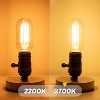 Runesay Dimmable E26 LED Edsion Bulbs 60Watt, 4.3 inches T45/T14 6W Tubular Light Bulbs, 900Lumen Vintage Light Bulbs, 2700K Warm White (2pcs) - 4 of 4