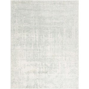 Adirondack ADR207 Non-Shedding Power Loomed Indoor Rugs - Safavieh - 1 of 4