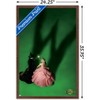 Trends International Wicked - Teaser One Sheet Framed Wall Poster Prints - 3 of 4