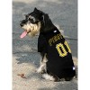 Mlb Pets First Pet Baseball Jersey - Pittsburgh Pirates : Target