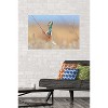 Trends International The Comedy Wildlife Photography Awards: Anup Deodhar - Rockstar Unframed Wall Poster Prints - 2 of 4
