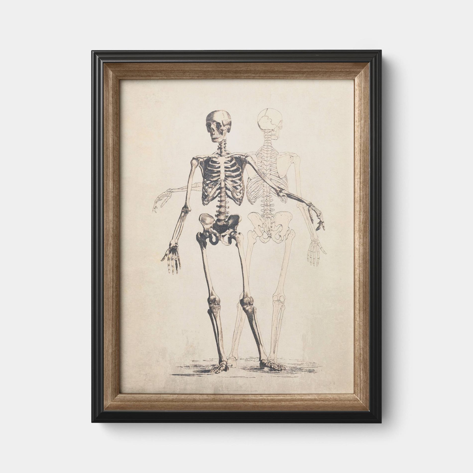 14"x18" Skeleton Halloween Wall Art Framed Dark Off-White - Threshold™
