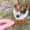 Old Mother Hubbard by Wellness Classic Crunchy P-Nuttier with Apple, Peanut Butter and Carrot Biscuits Large Oven Baked Dog Treats - 20lb - 3 of 4