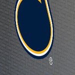 st louis blues