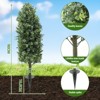 Artificial Boxwood Plant Set of 2, Artificial Trees with Integrated Ground Stake Indoor Outdoor Artificial Planter - 2 of 4