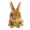 Aurora Small Baby Bunny Miyoni Tots Adorable Stuffed Animal Ginger 7.5" - 2 of 4