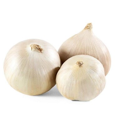 Morel Distribution Co | Elephant Garlic Rounds (Ajo Macho) Sorted Bulbs! Great for Fall Planting! (1 LB)