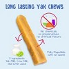 Yeti Dog Chew Medium Dog Chews Treats- Medium, 2.5 oz - 3 of 4