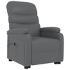 vidaXL Stand Up Chair Anthracite Faux leather, Iron, Poplar wood Standard - 3 of 4