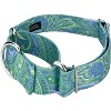 Country Brook Petz 2 Inch Green Paisley Martingale Dog Collar - image 2 of 4