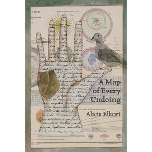 A Map of Every Undoing - Large Print by  Alicia Elkort (Paperback) - 1 of 1