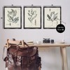 Stupell Industries Green Botanical Latin Study, 25" x 31" - 3 of 4