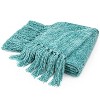 PAVILIA Chenille Throw Blanket with Woven Knitted Tassel Fringe for Couch, Living Room Decor and Bed - 2 of 4