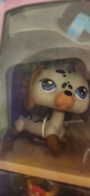 Guest review image 1 of 2, zoom in