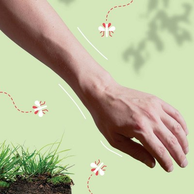 Imagen de producto 2