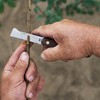 FELCO 512, Carbon Steel Budding and Grafting Knife, Wood Handle, Made in Italy - 3 of 4