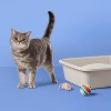 Fragrance Free with Baking Soda Clumping Cat Litter - up&up™ - image 2 of 4