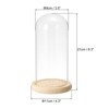 Unique Bargains Wooden Base Plants Home Decor Glass Bell Jar Display Case - 2 of 4