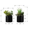 NicBex Artificial Succulent Plant 2PC, 7" H Fake Plants in Pots, Tabletop Faux Plants Indoor for Living Room/Office/Windowsill Decor - 4 of 4