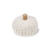 Small Sweater Knit Pumpkin - Bullseye's Playground™ - 2 of 3